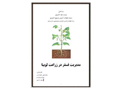 مدیریت فسفر در زراعت لوبیا