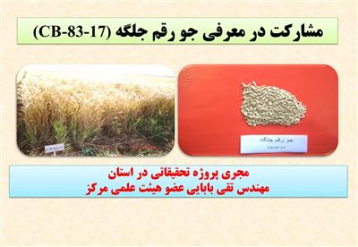 مشاركت در معرفی جو رقم جلگه (CB-83-17)