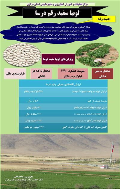 لوبیا سفید رقم درسا