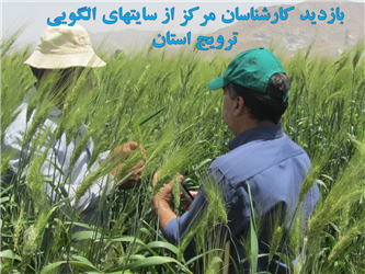 بازدید کارشناسان مرکز از سایتهای الگویی ترویج استان.jpg