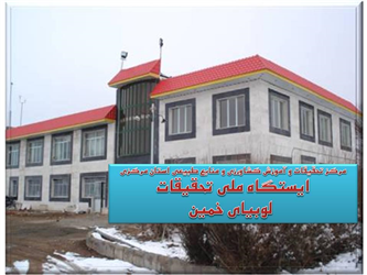 سردر58.JPG