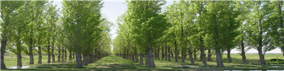 p.n. 62.154.jpg