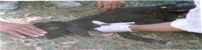 image21.jpg