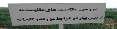 DSC00018.JPG