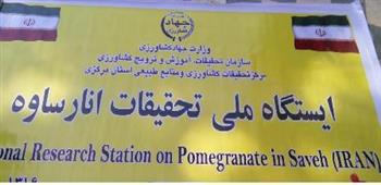 انار7.JPG